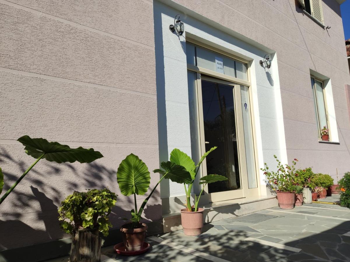 Olive B&B Berat Exteriör bild